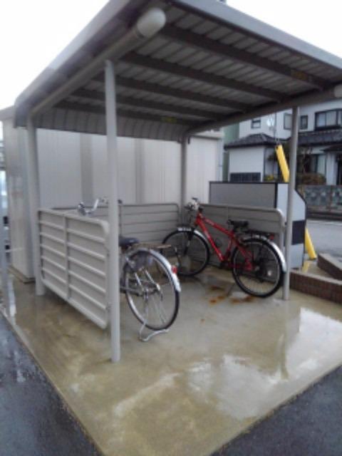 信濃町コスモス