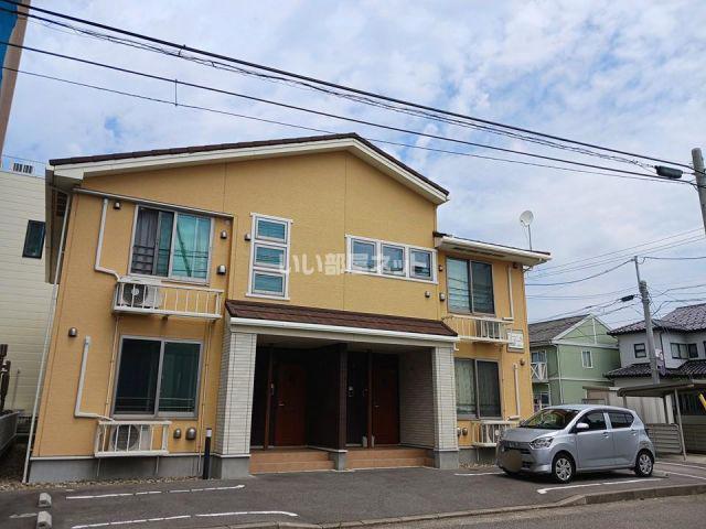 信濃町コスモス