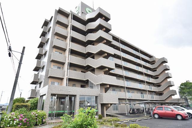 ガーデングラス桑野