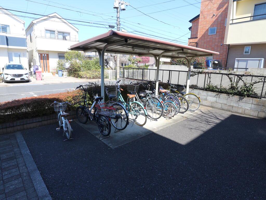 スプルース