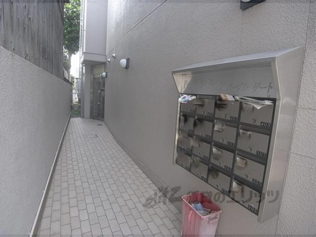 パープルゲート
