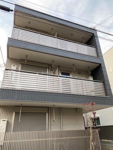 BLUE DAISY 目白