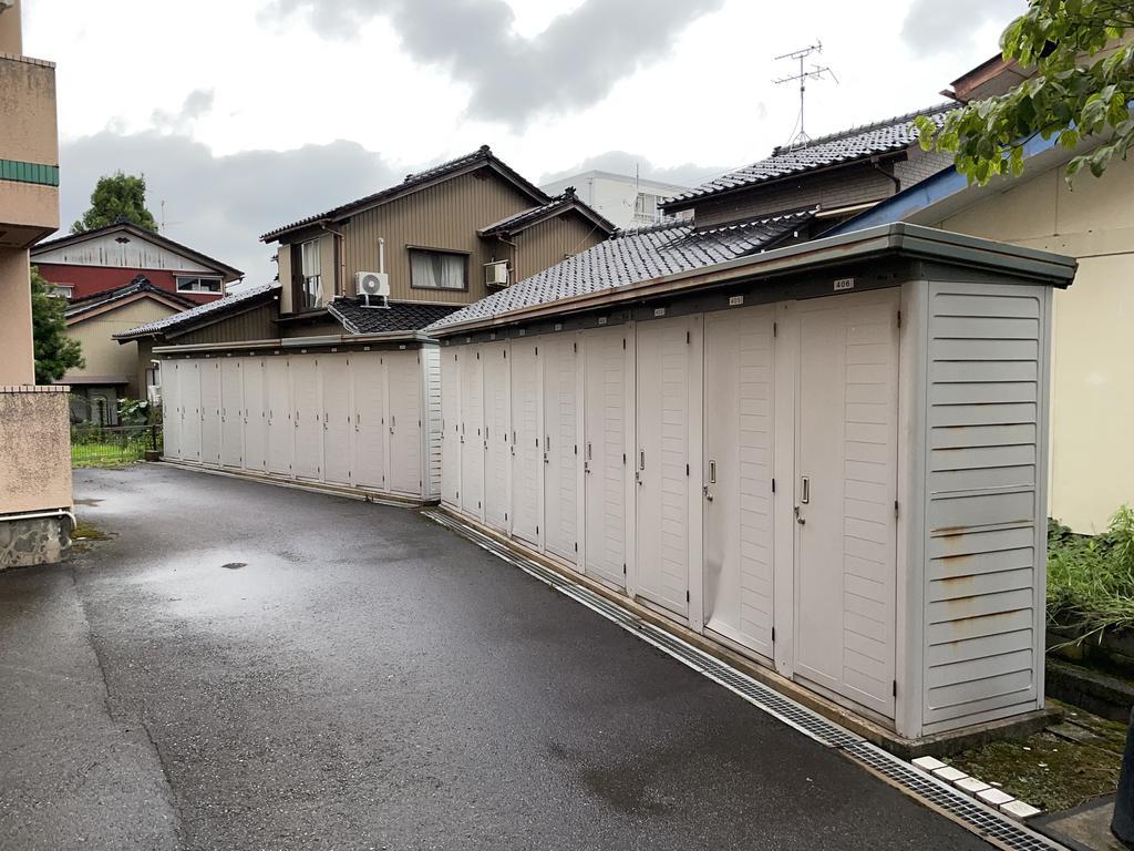 セルヴァン藍