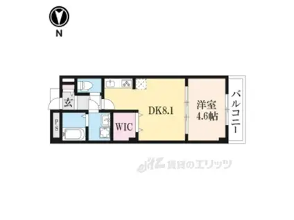 カーサ セレーナ(1DK/2階)の間取り写真