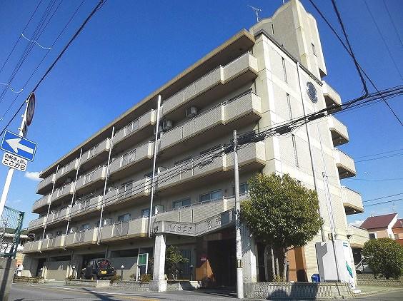 パイオニア松井