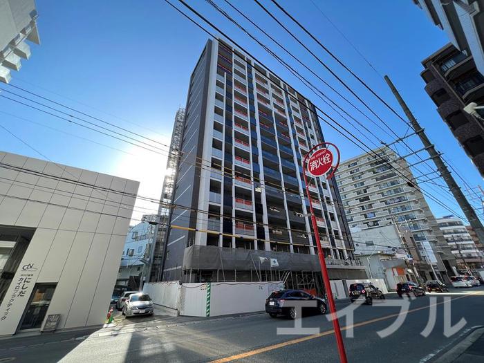 PRADO OHASHI