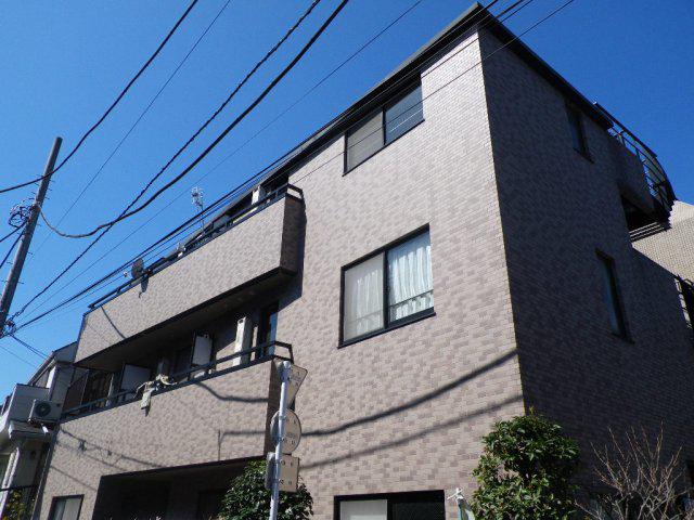 サニーバンブー