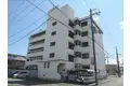 シャルムT・M