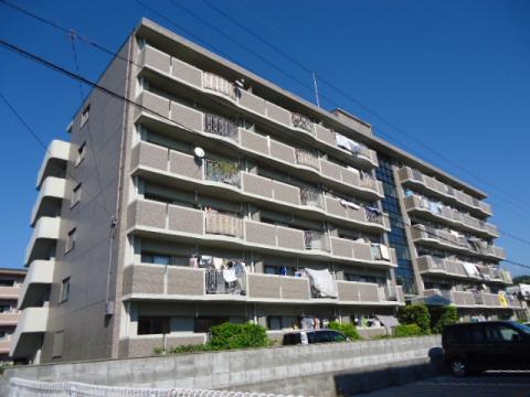 SAN DWELL