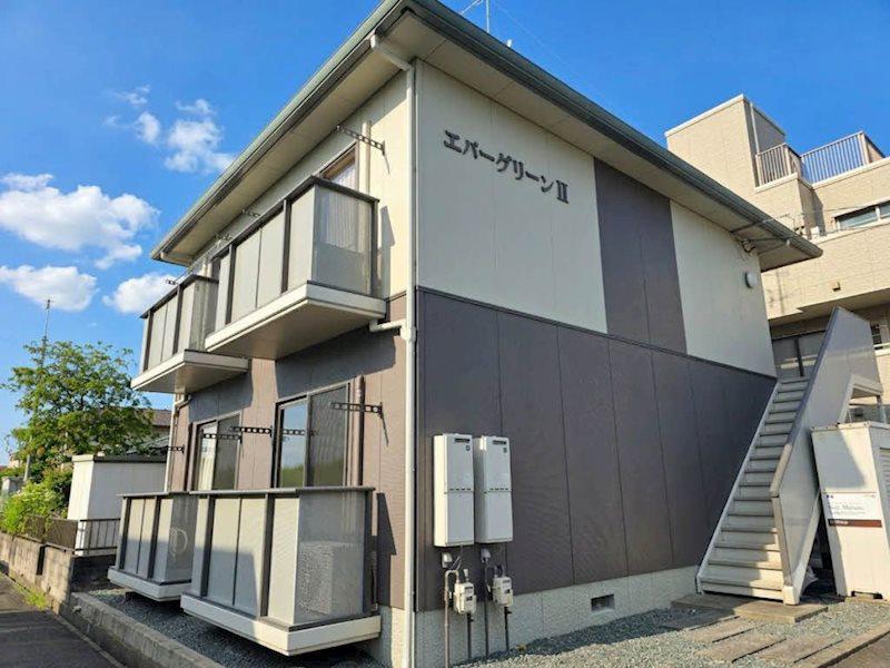 エバーグリーンII