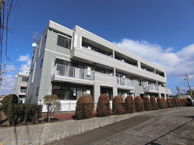 サーフサイドサンシャインS棟(3DK/3階)