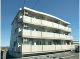 コンフォート・プラス・ワン