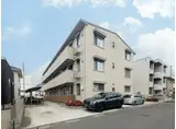 フリージア
