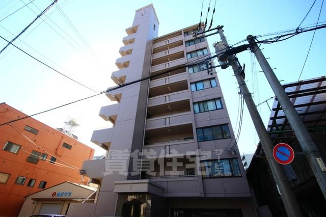 シャウエル錦