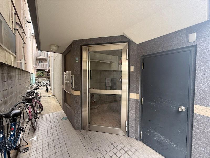 ASHIYA1555