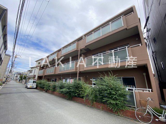 アペックス15