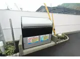 ブロッコリー