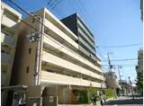 ソレイユアンドメイプル
