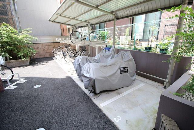 ソリッドクレストディーワン