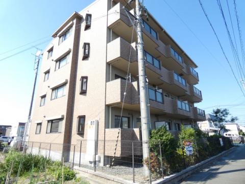 マンション槐