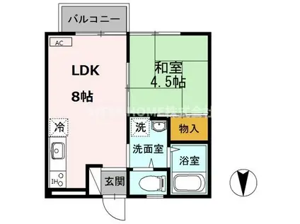 ハイツ天道(1LDK/2階)の間取り写真