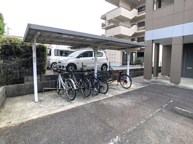MSティアラ
