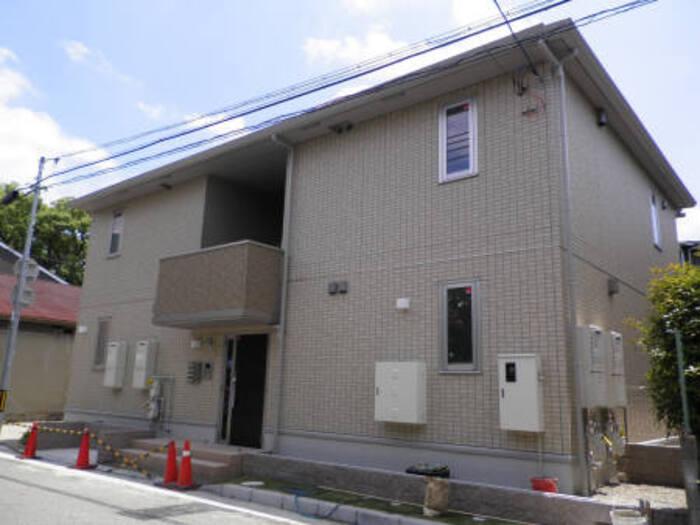 セジュール梅の木