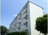 東向地団地