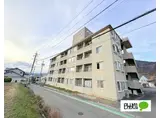 メゾン21住吉A
