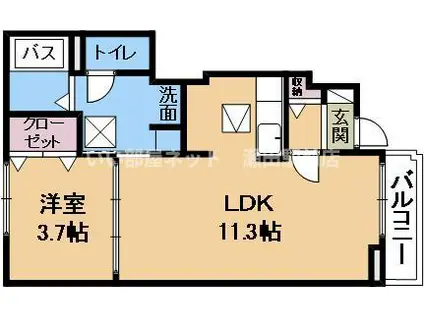 グレイス リバー(1LDK/1階)の間取り写真