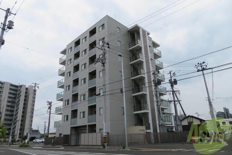 BRANDZ TOMIZAWA