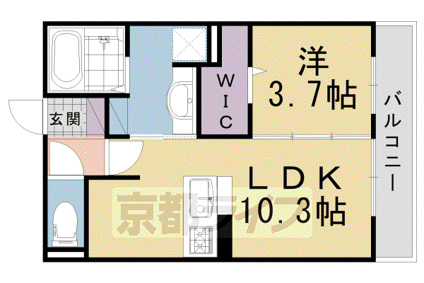 グレース洛西口(1LDK/1階)の間取り写真