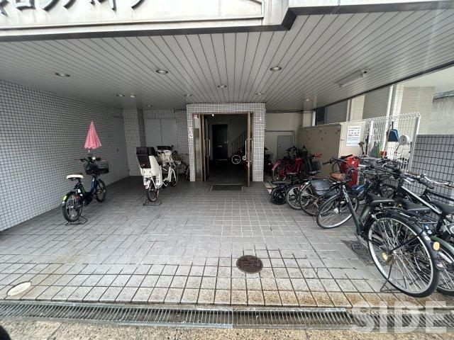 フリーディオ中宮