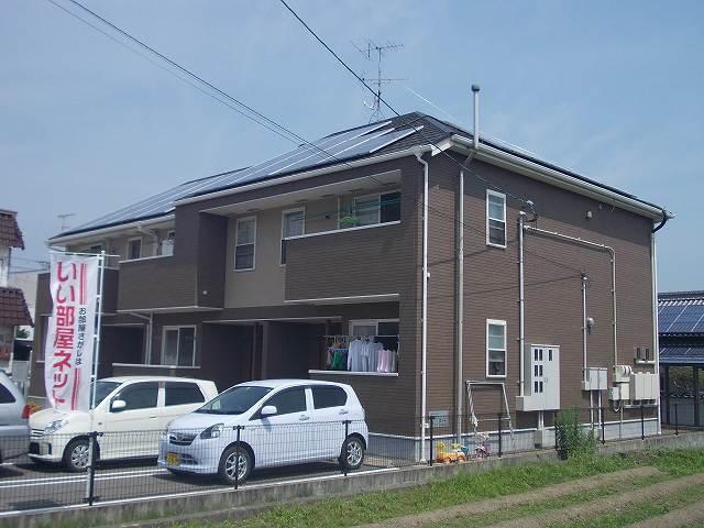 プリムローズ