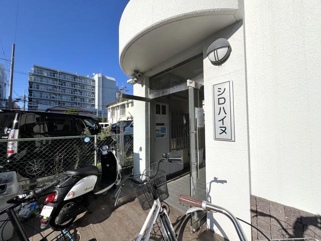 シロハイヌ