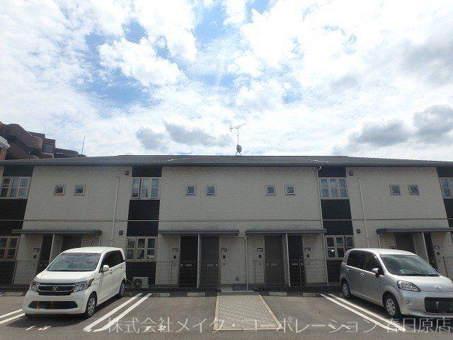 カームネス弥生