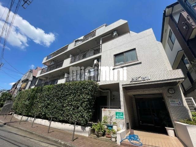 MUSE若林