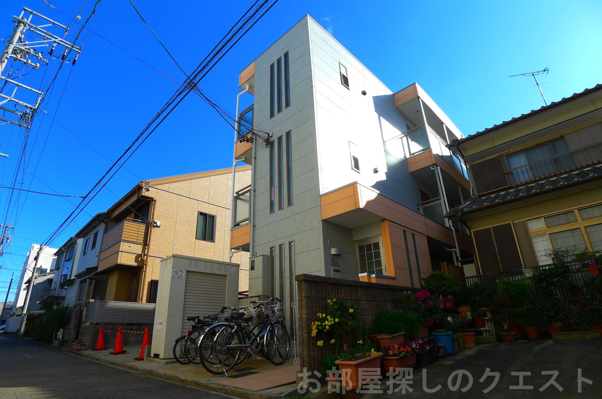 アムール青柳