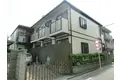 ハイムサンフラワー