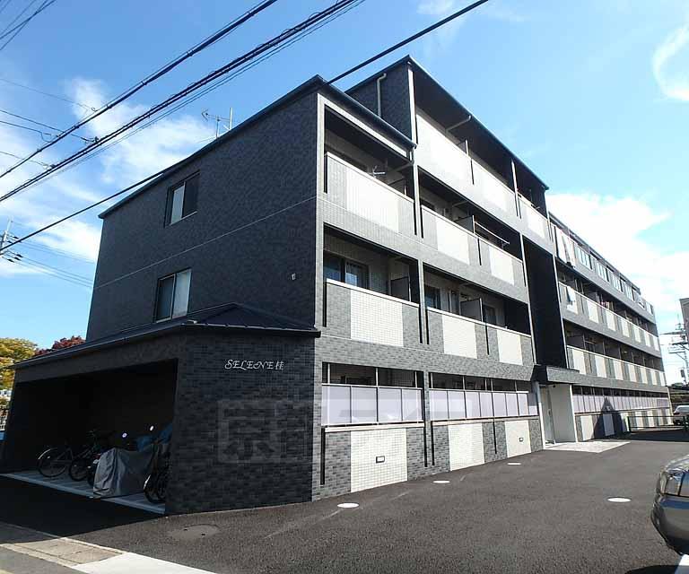 SELENE桂