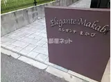 エレガンテまかび