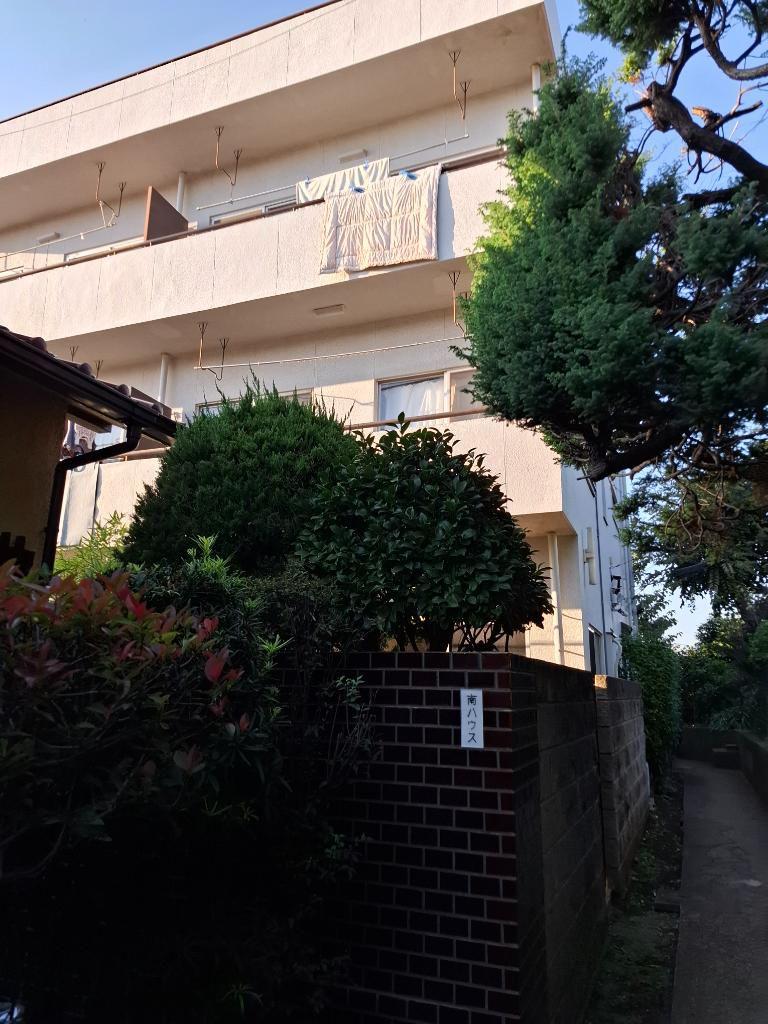 南ハウス