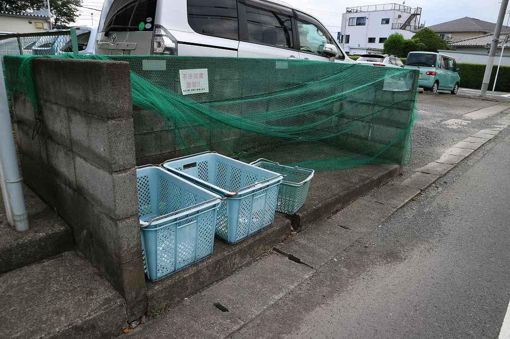 アイリス