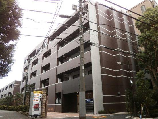 DIPS上北沢