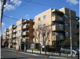 コンフォール野川