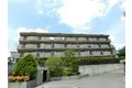 テラ青葉
