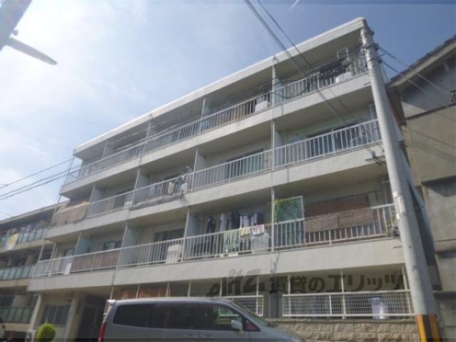 夢ゾン鴨川