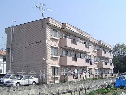 シャトーペガサス