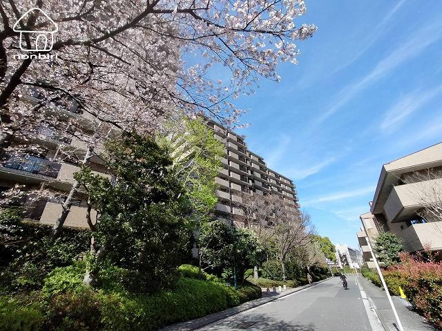 パークシティ本牧H棟