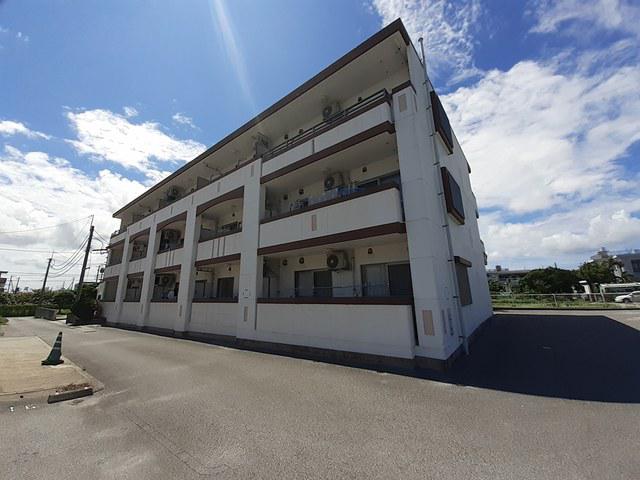 DREAMPALACE-邦-